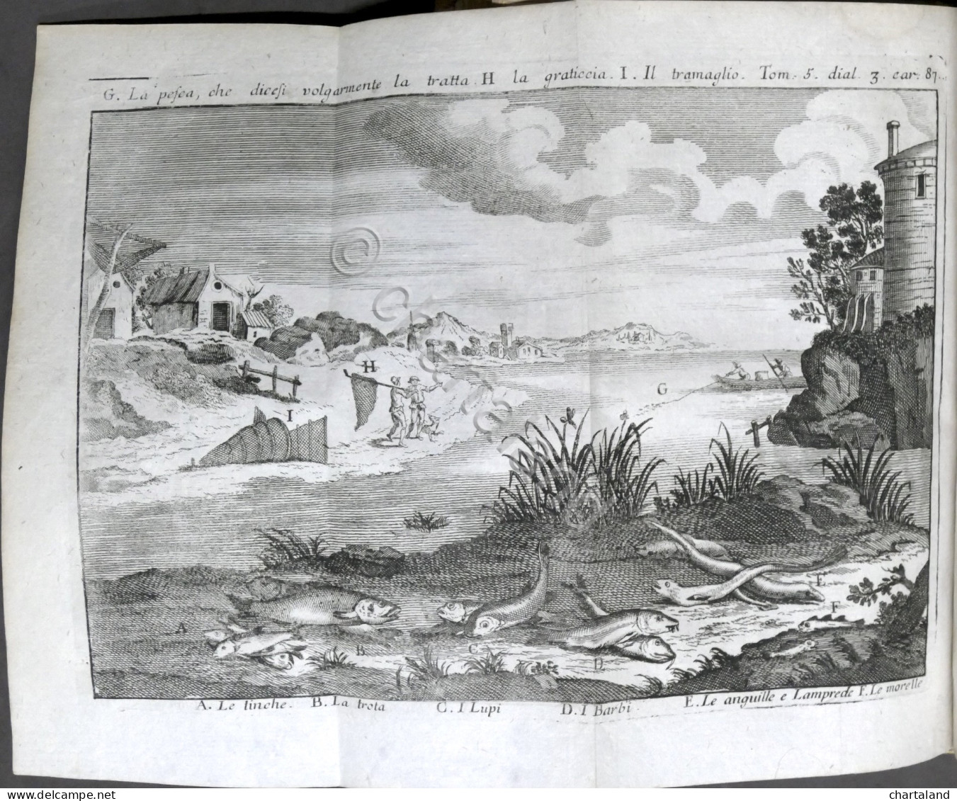 Lo Spettacolo Della Natura Esposto In Varj Dialoghi - Tomo V - Ed. 1752 - Non Classificati