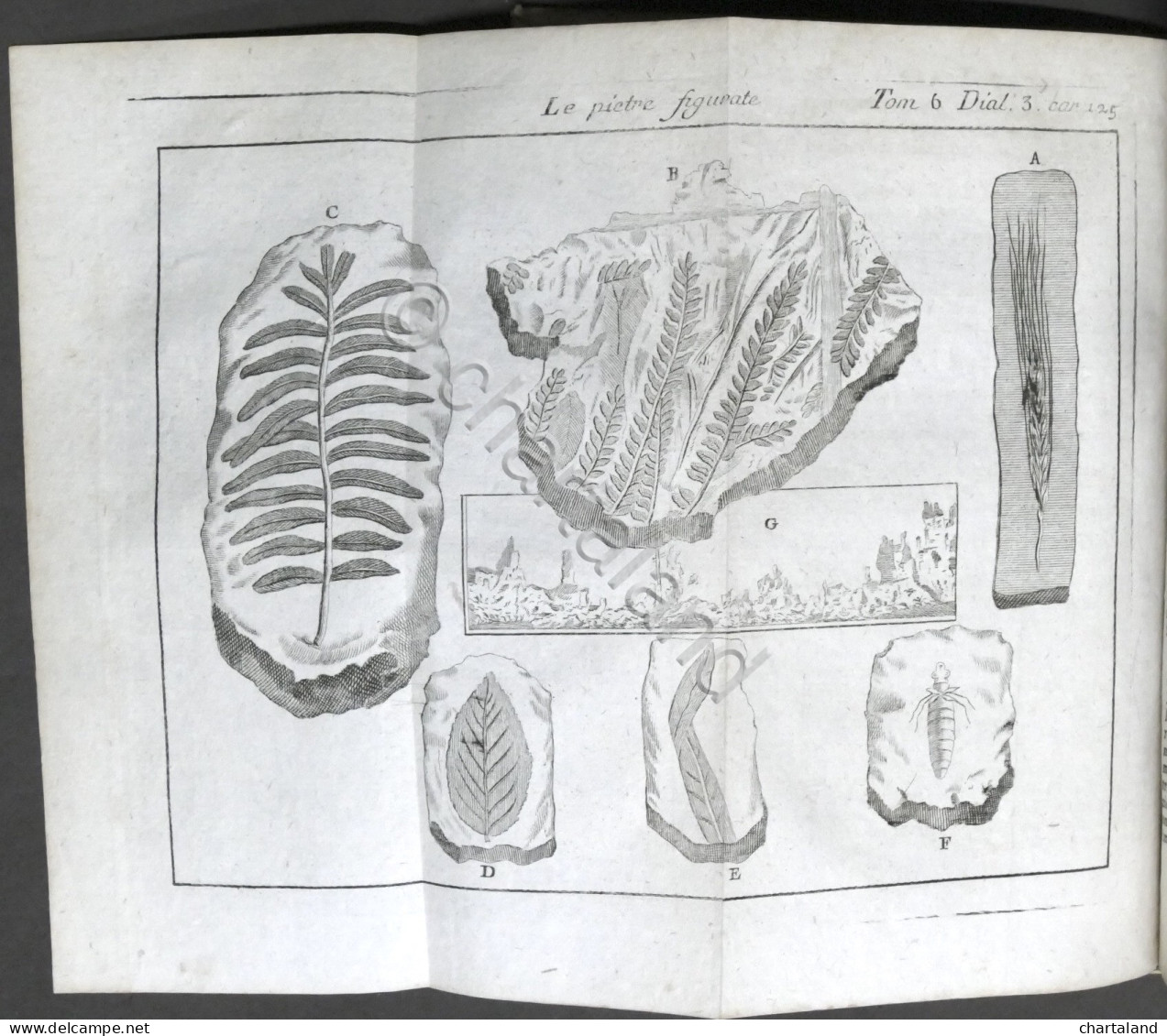 Lo Spettacolo Della Natura Esposto In Varj Dialoghi - Tomo VI - Ed. 1752 - Unclassified