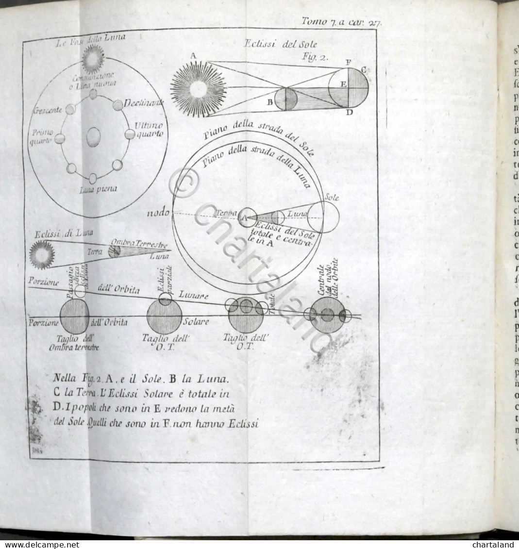 Lo Spettacolo Della Natura Esposto In Varj Dialoghi - Tomo VII - Ed. 1752 - Ohne Zuordnung