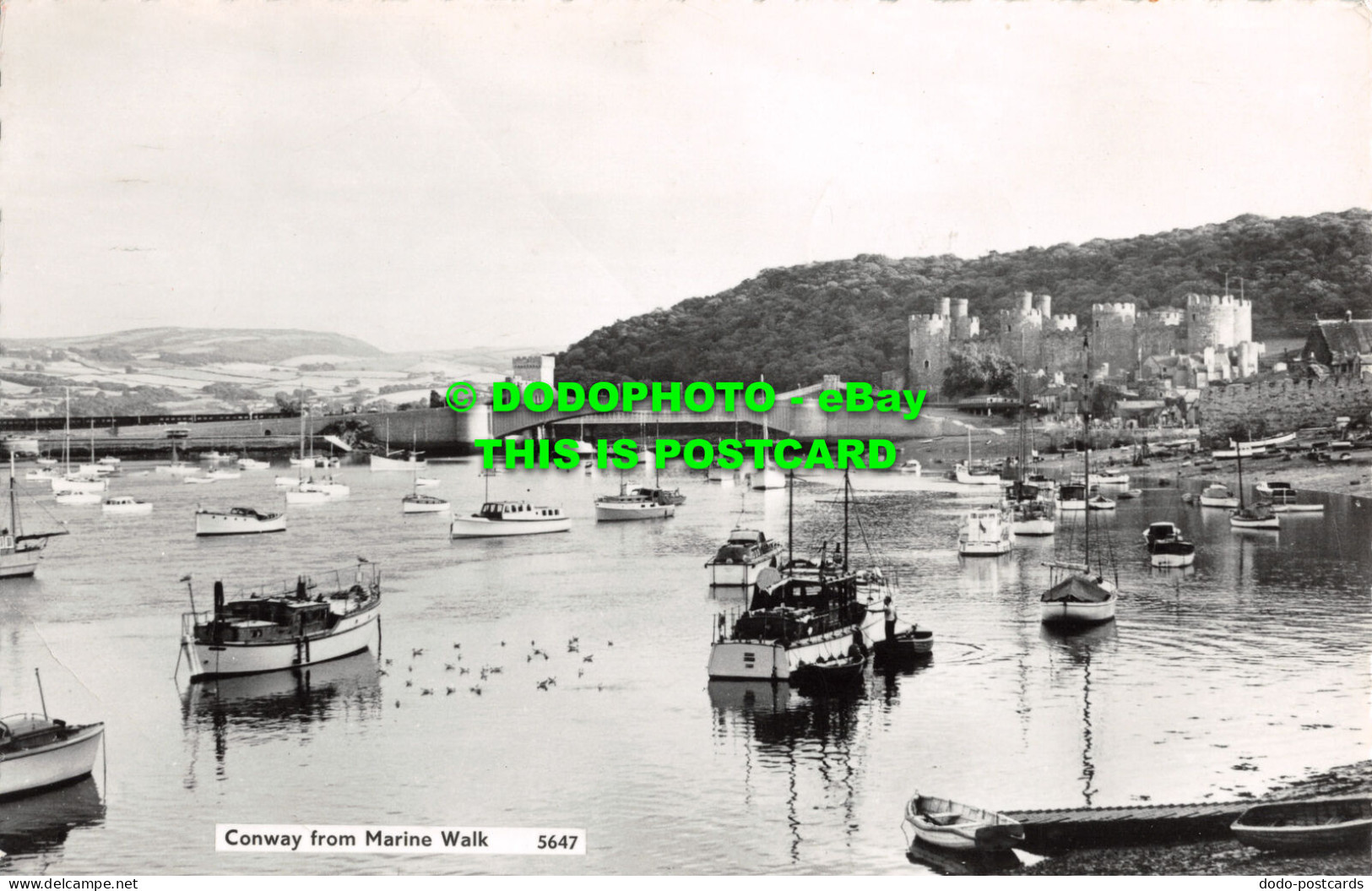 R488779 Conway From Marine Walk. St. Albans Series. RP. 1962 - World