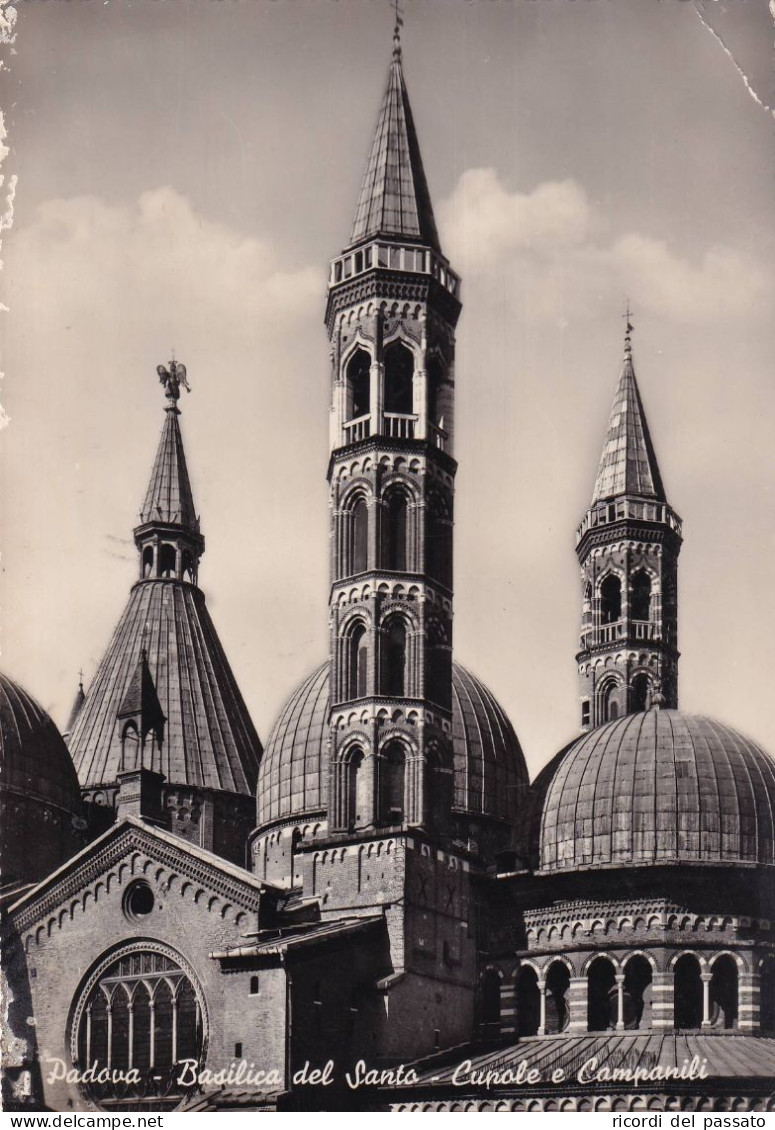 Cartolina Padova - Basilica Del Santo - Cupola E Campanili - Padova