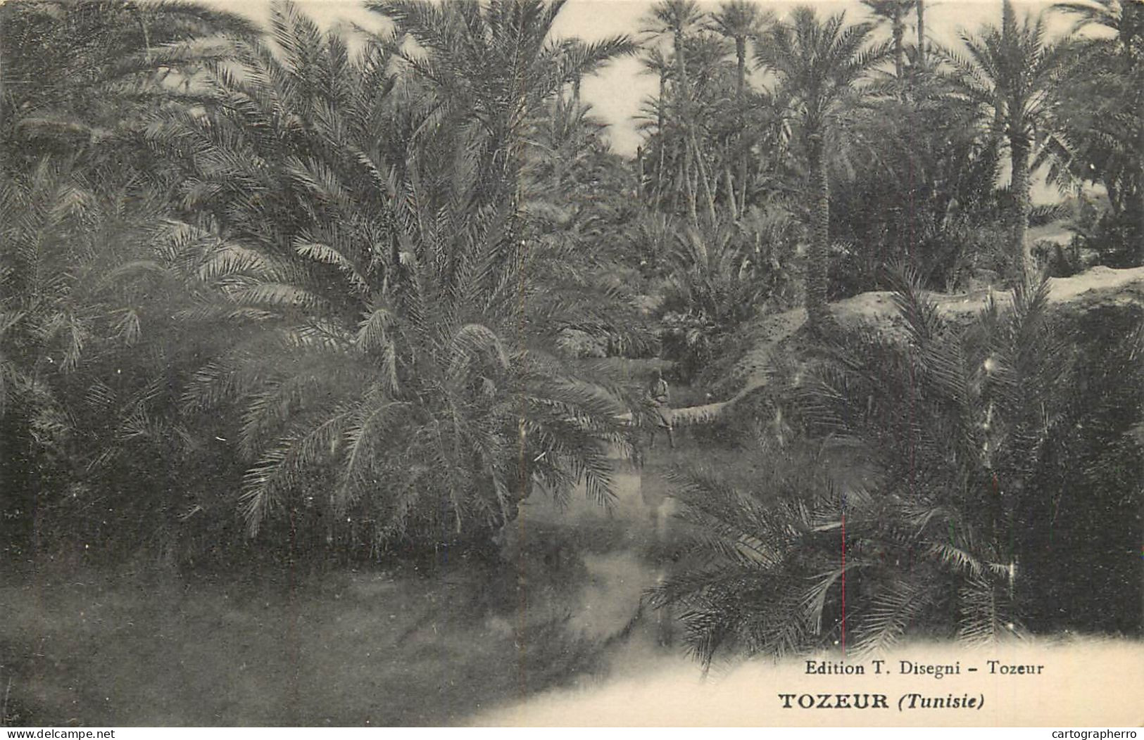 Tunisia Tozeur - Tunisia