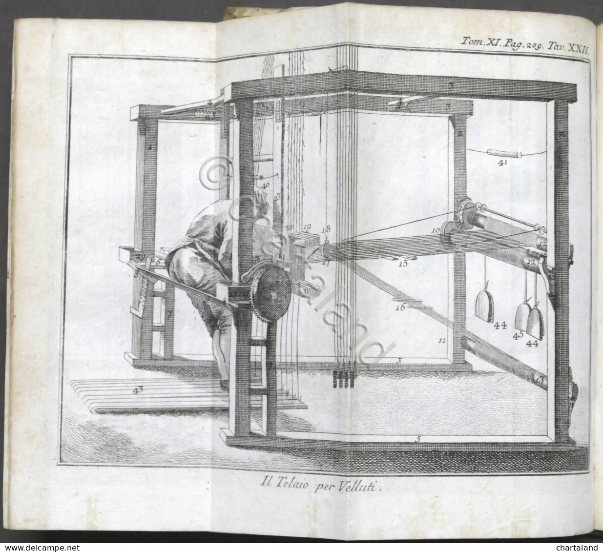 Lo Spettacolo Della Natura - Trattenimenti Storia Naturale - Tomo XI - Ed. 1751 - Zonder Classificatie