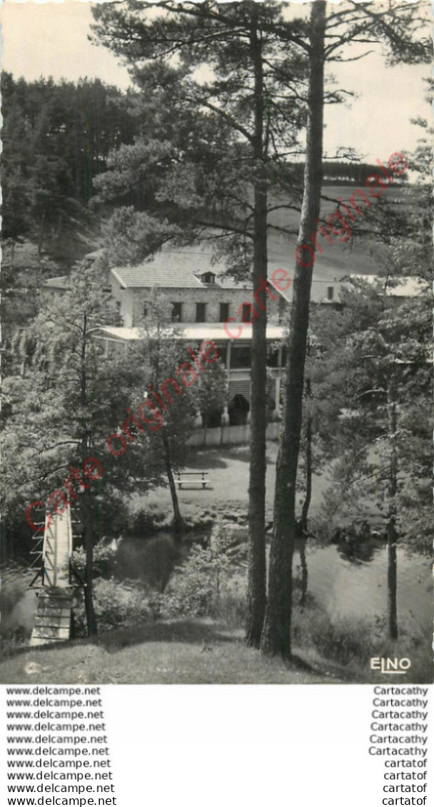 43.  CRAPONNE MISTOU . Paysage Sur L'Hôtel Et Passerelle Sur L'Ance . - Craponne Sur Arzon