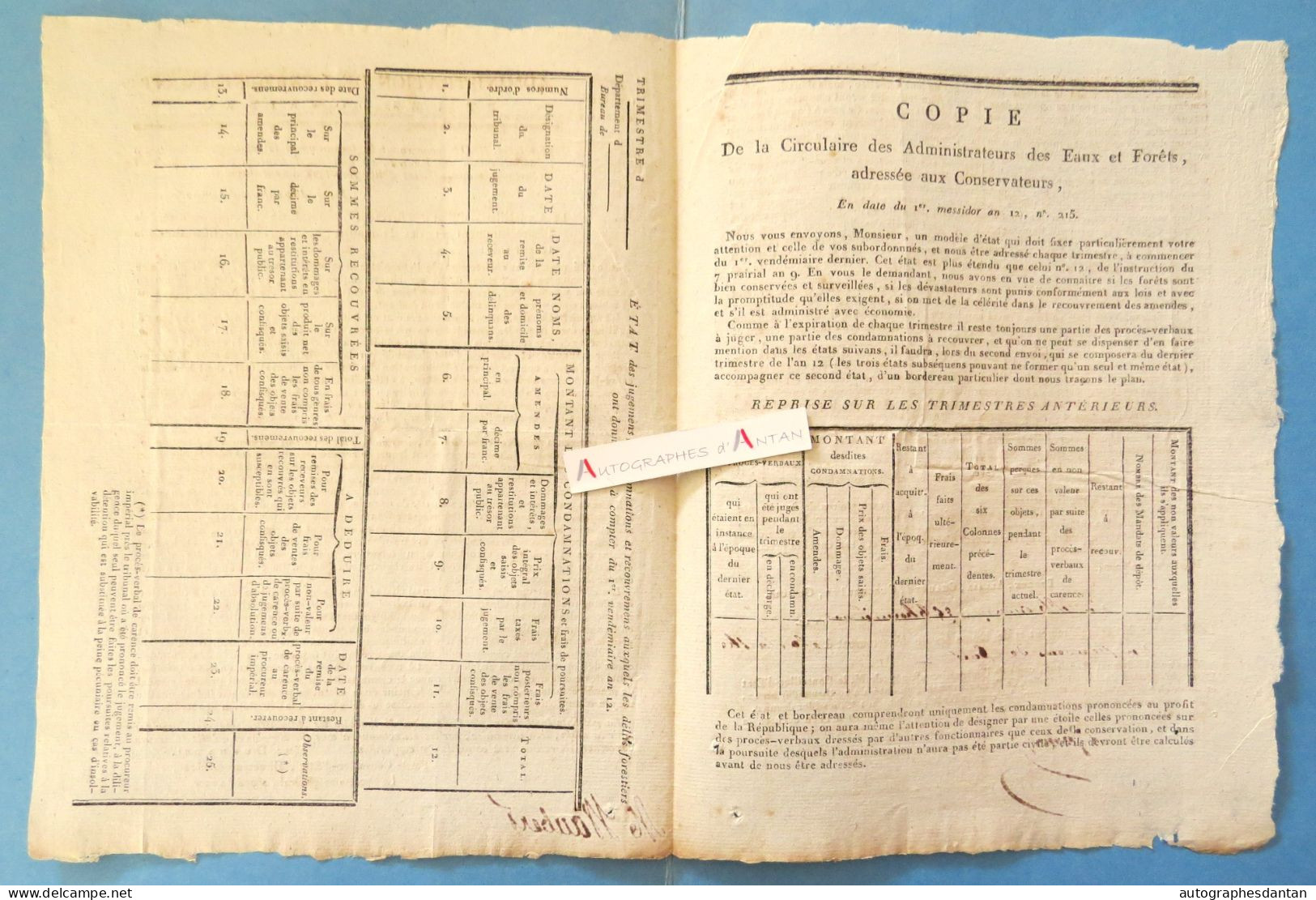 ● Instruction An 12 Administration Des Forêts - Délits Forestiers - Duchatel - Bergon Allair Chauvet Guechenève Gossuin - Historische Dokumente