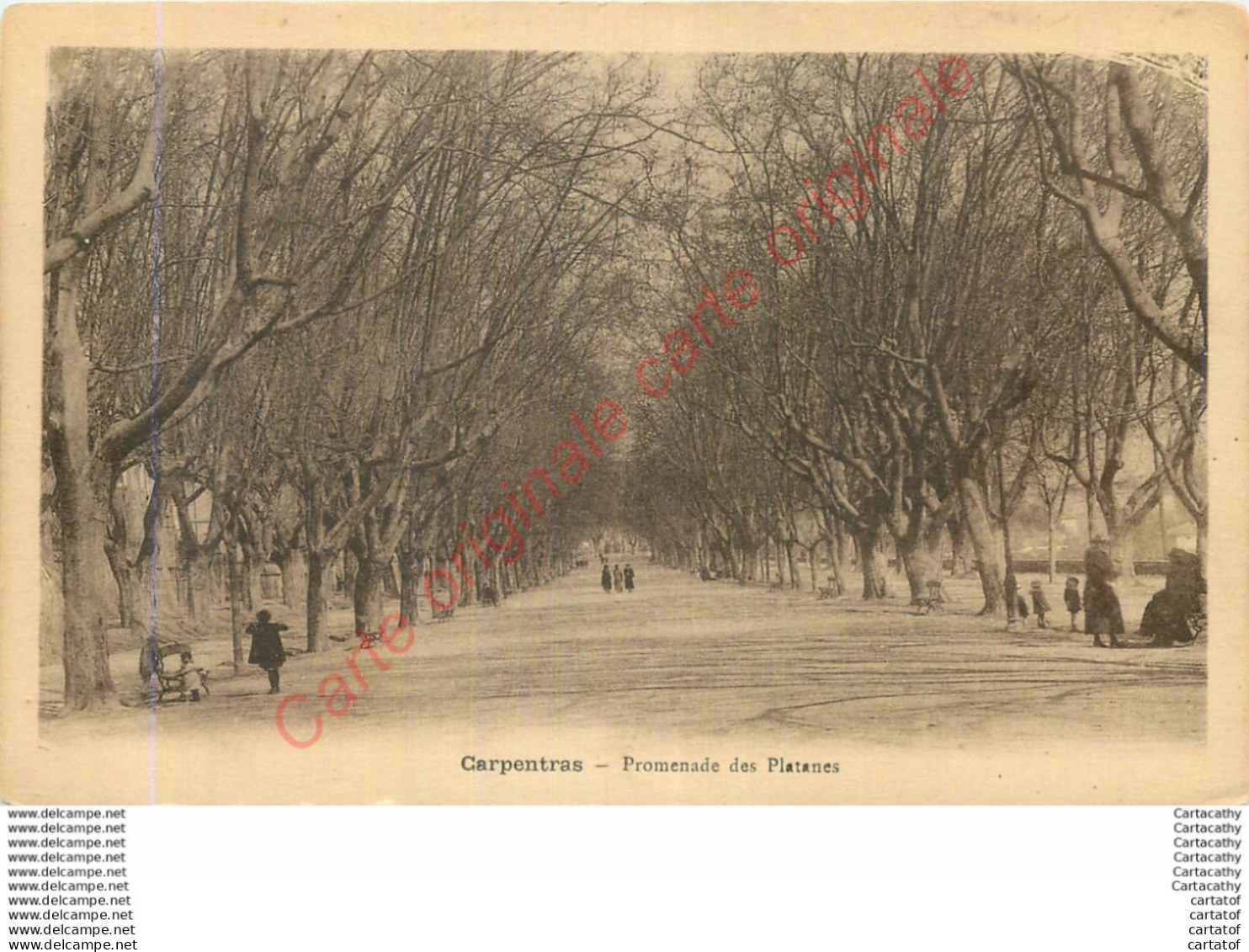 84.  CARPENTRAS .  Promenade Des Platanes . - Carpentras