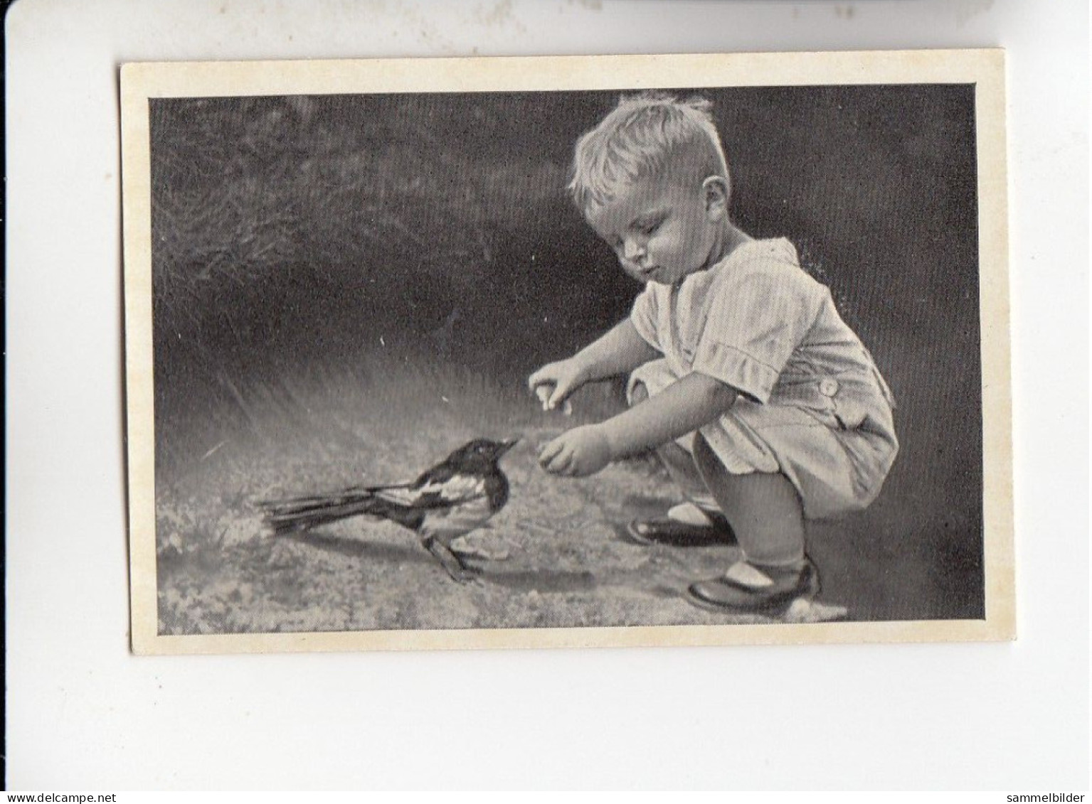 Mit Trumpf Durch Alle Welt Tiere Und Kinder I Junge Mit Elster    C Serie 10 # 3 Von 1934 - Zigarettenmarken