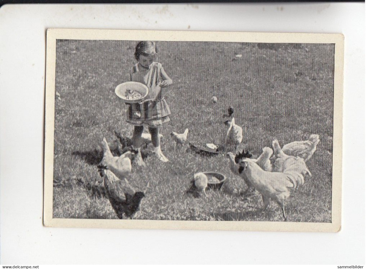 Mit Trumpf Durch Alle Welt Tiere Und Kinder I Mädchen Füttert Hühner   C Serie 10 # 4 Von 1934 - Zigarettenmarken