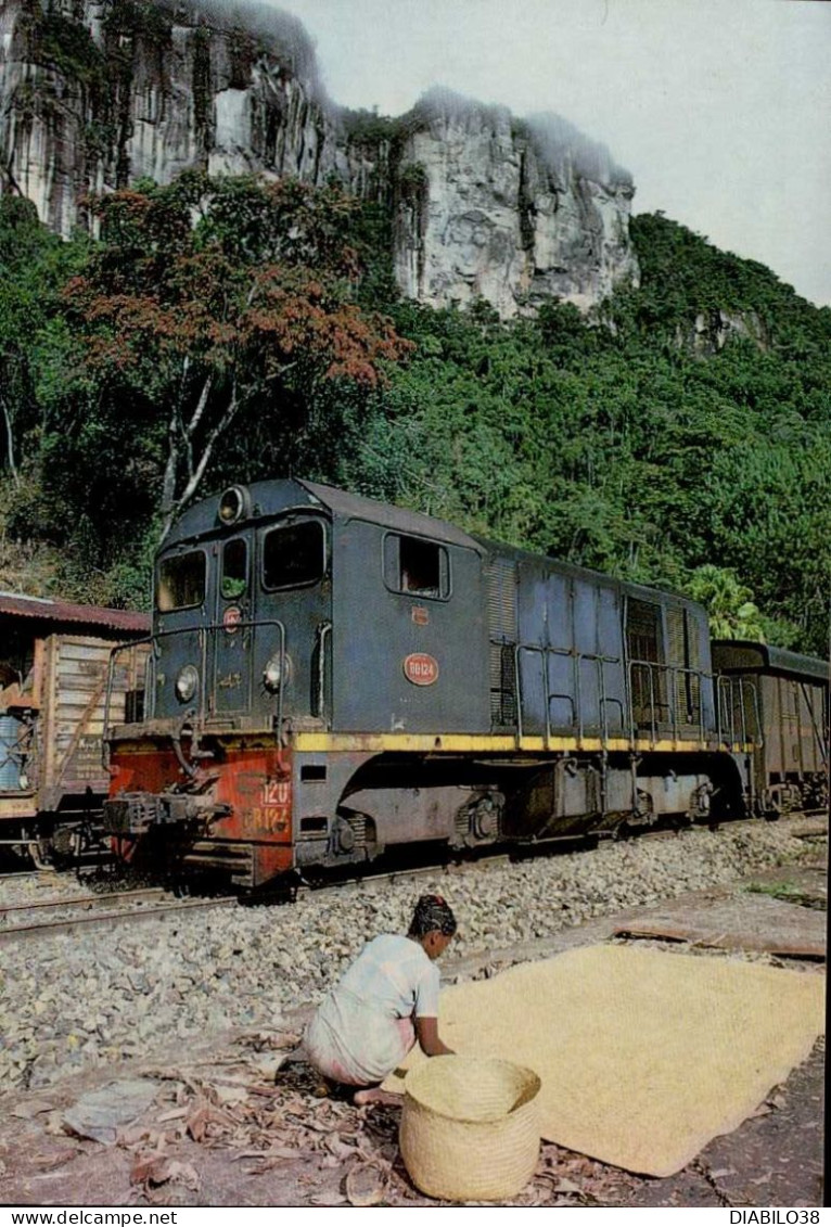MADAGASCAR   ( AFRIQUE )    LIGNE FERROVIERE FIANAR-MANAKARA - Eisenbahnen