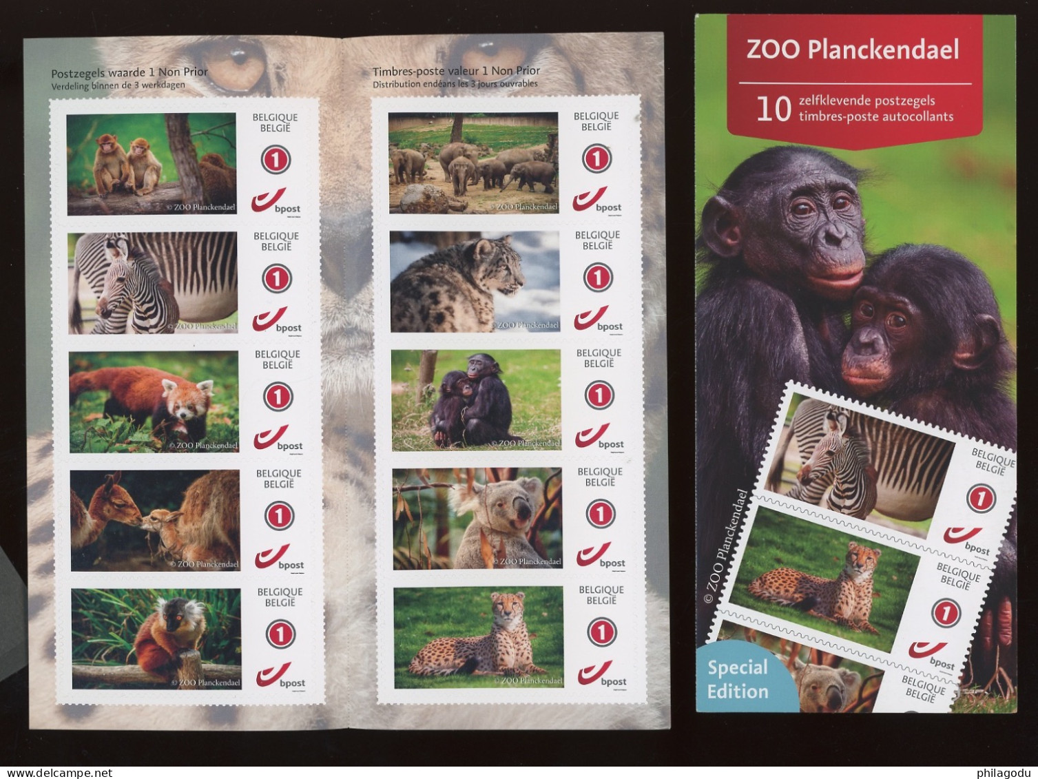 2024. Belgique ZOO Plankendael  Carnet De 10 Diff Auto-collants (lettre Nationale) - Other & Unclassified