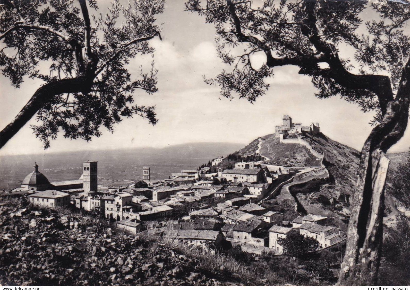 Cartolina Assisi - Panorama Parziale Con Veduta Della Rocca Medioevale - Perugia