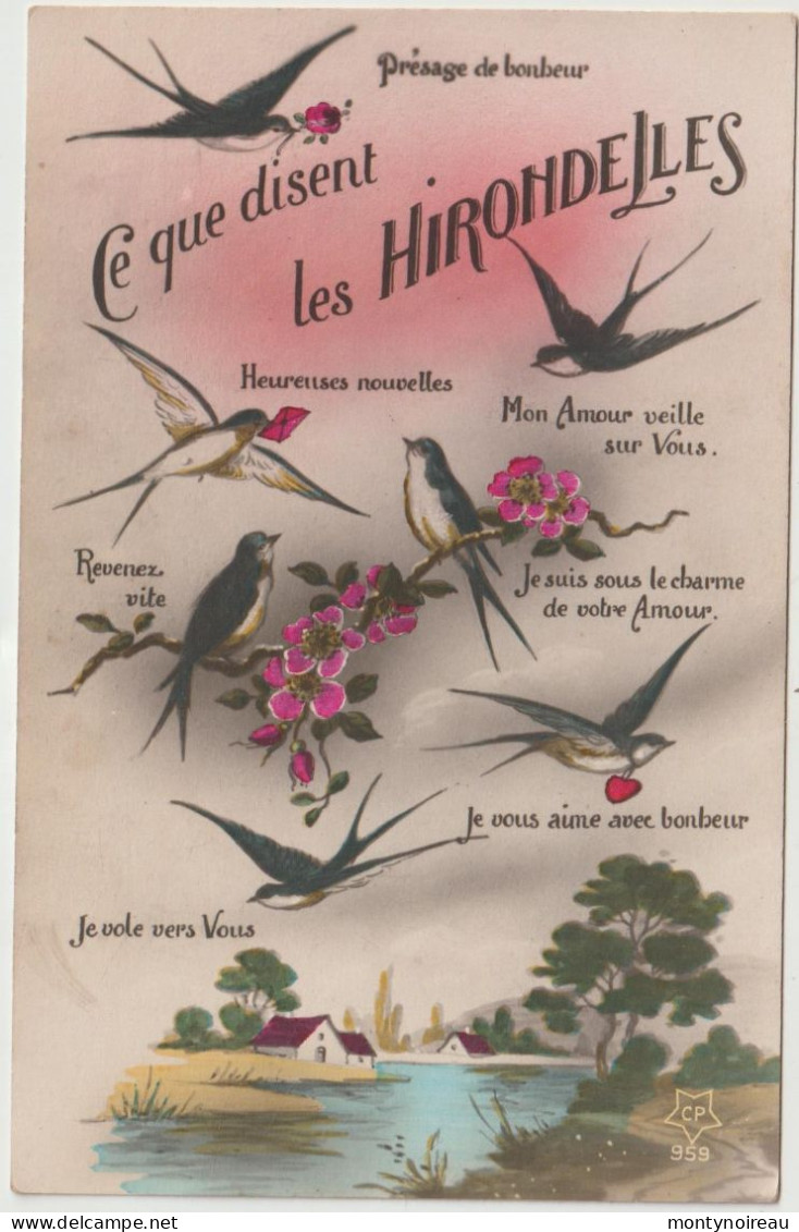 Animaux  : Oiseau : Les  Hirondelles - Oiseaux