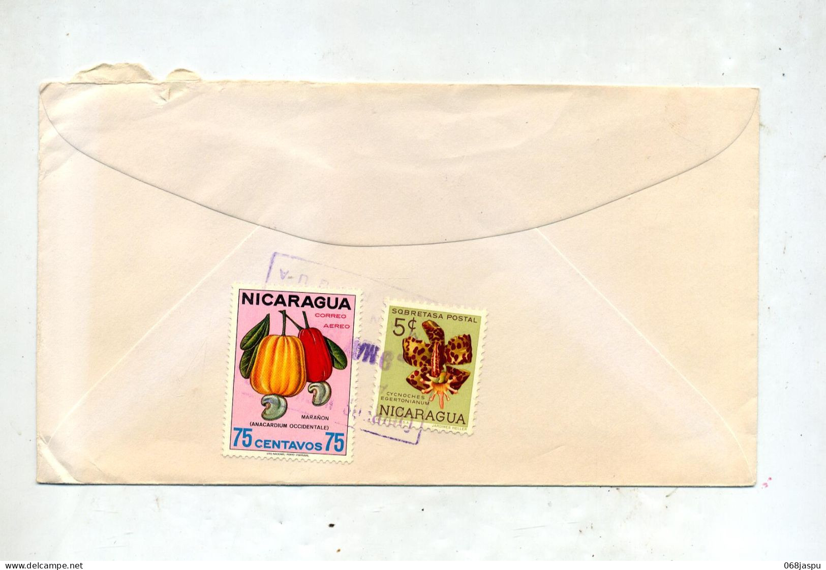 Lettre Cachet Rectangulaire Sur Fruit Fleur - Nicaragua