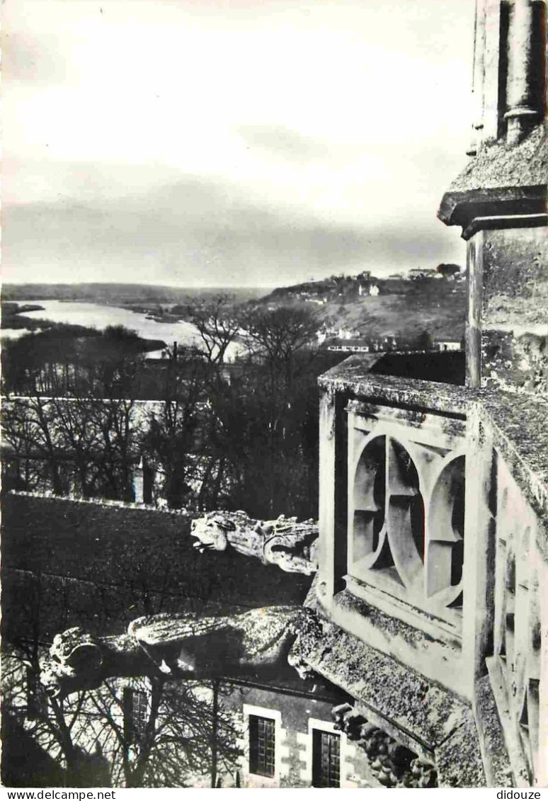 58 - Nevers - Cathédrale Saint Cyr - Vue Sur La Vallée De La Loire - Mention Photographie Véritable - Carte Dentelée - C - Nevers