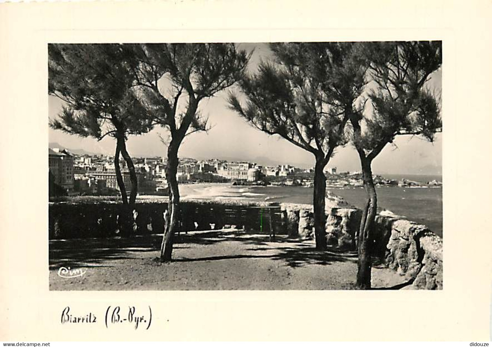 64 - Biarritz - La Plage Vue à Travers Les Tamaris - Mention Photographie Véritable - CPSM Grand Format - Carte Neuve -  - Biarritz