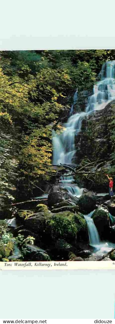 Irlande - Kerry - Torc Waterfall - Killarney - Carte Neuve - Ireland - CPM - Voir Scans Recto-Verso - Kerry