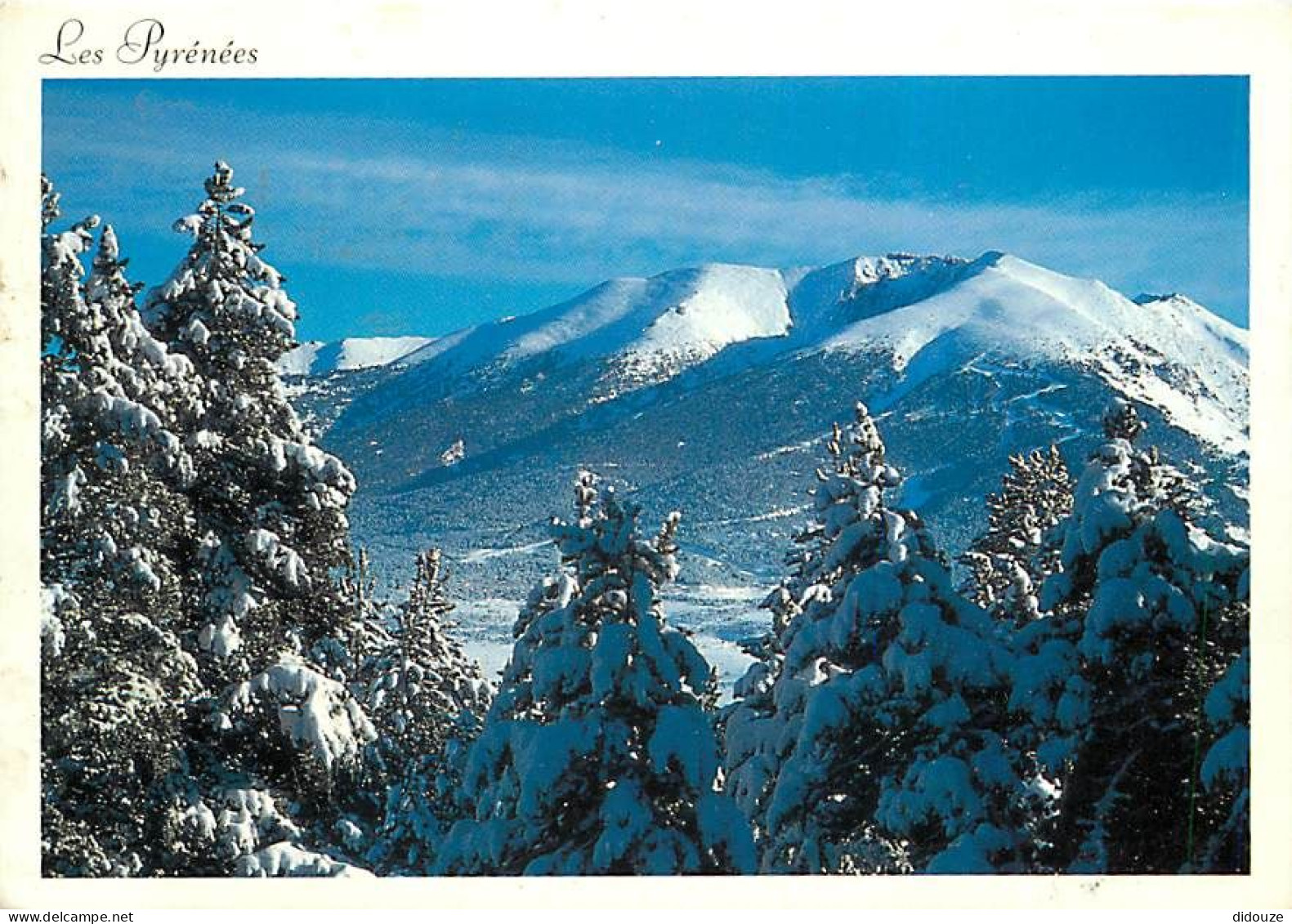 65 - Hautes Pyrénées - Le Cambre D'Aze - Hiver - Neige - CPM - Voir Scans Recto-Verso - Otros & Sin Clasificación