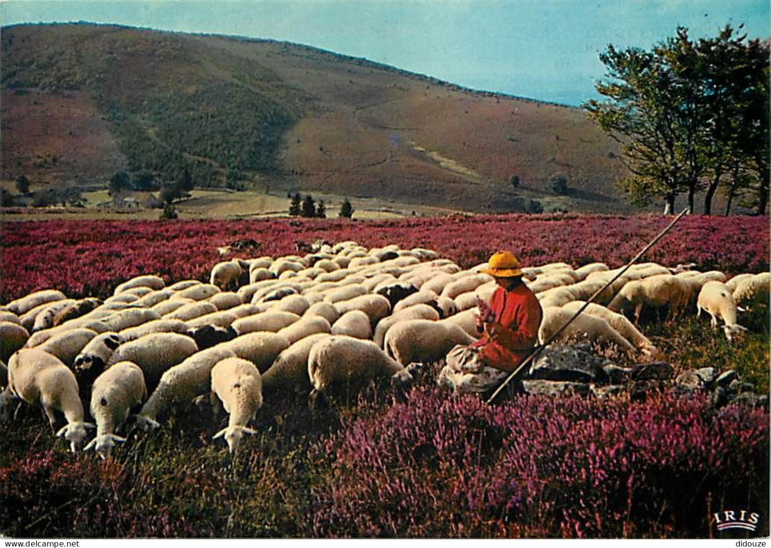 19 - Les Monédières - Moutons - Bergère - Bruyères - Carte Neuve - CPM - Voir Scans Recto-Verso - Andere & Zonder Classificatie