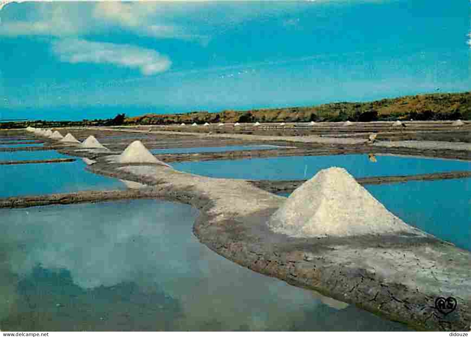 17 - Ile De Ré - Marais Salants - CPM - Voir Scans Recto-Verso - Ile De Ré