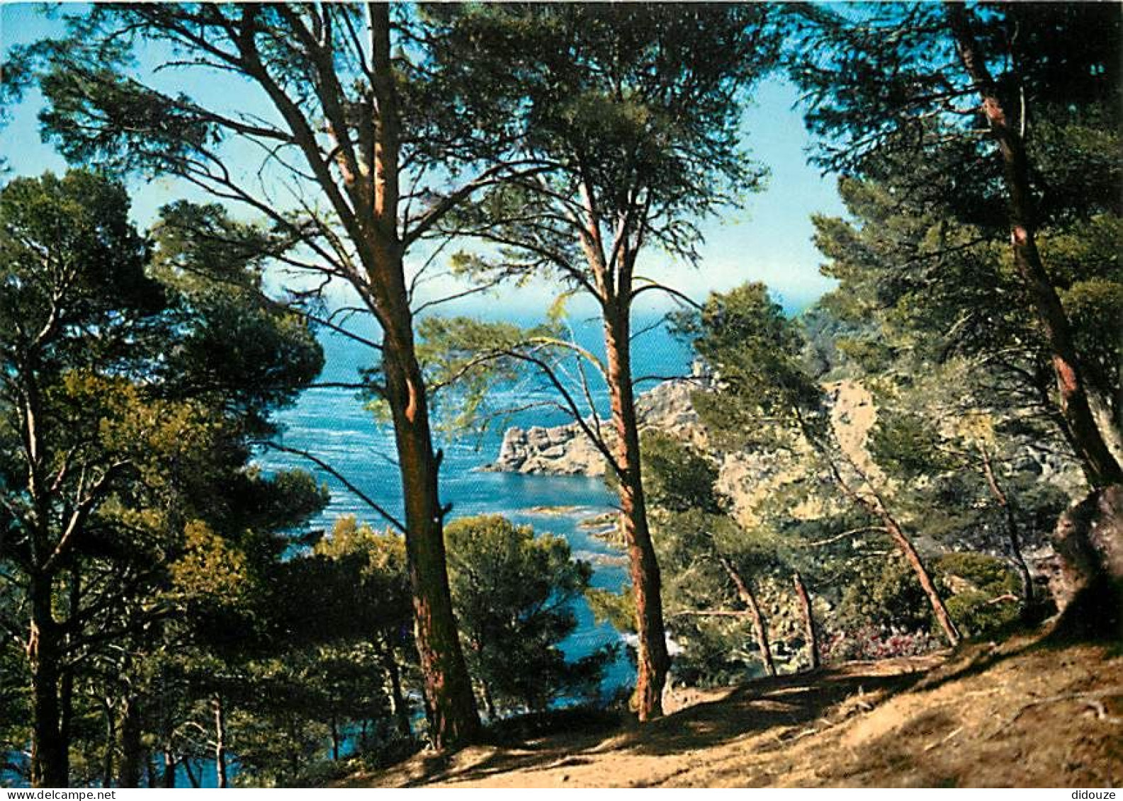 06 - Ile Sainte Marguerite - Bord De Mer - CPM - Carte Neuve - Voir Scans Recto-Verso - Autres & Non Classés