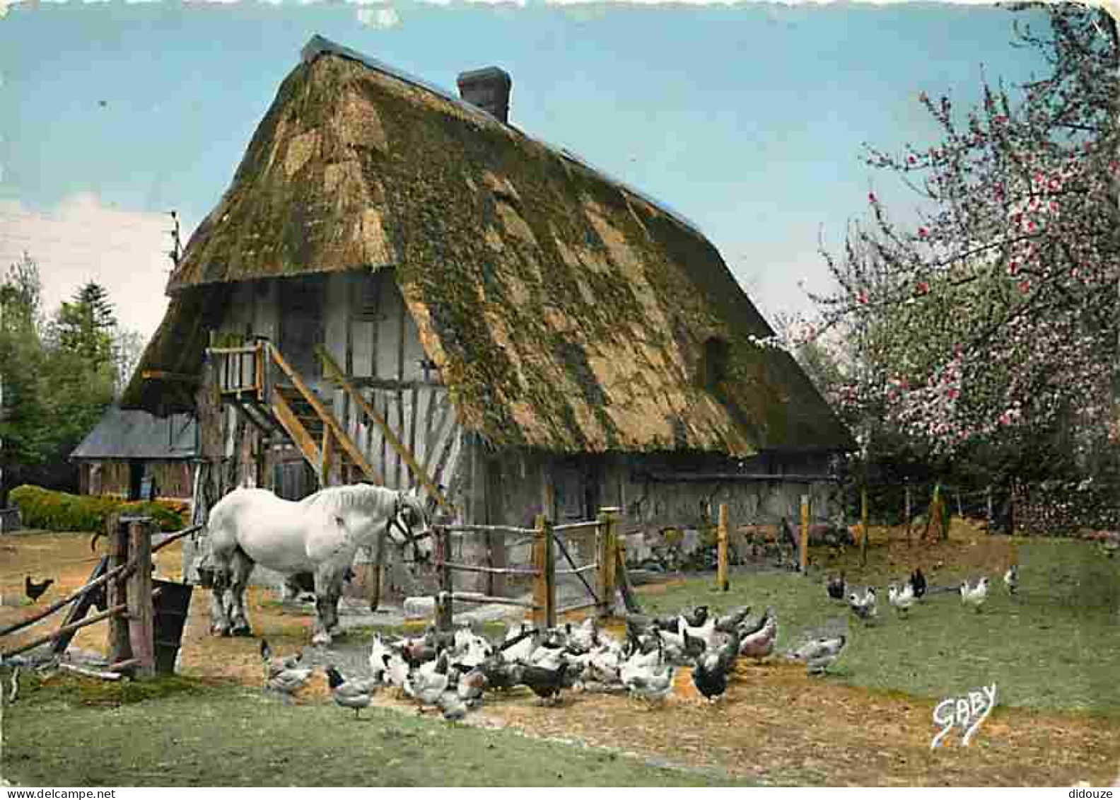 Animaux - Chevaux - Normandie - Toute La Ferme - Poules - CPM - Voir Scans Recto-Verso - Horses