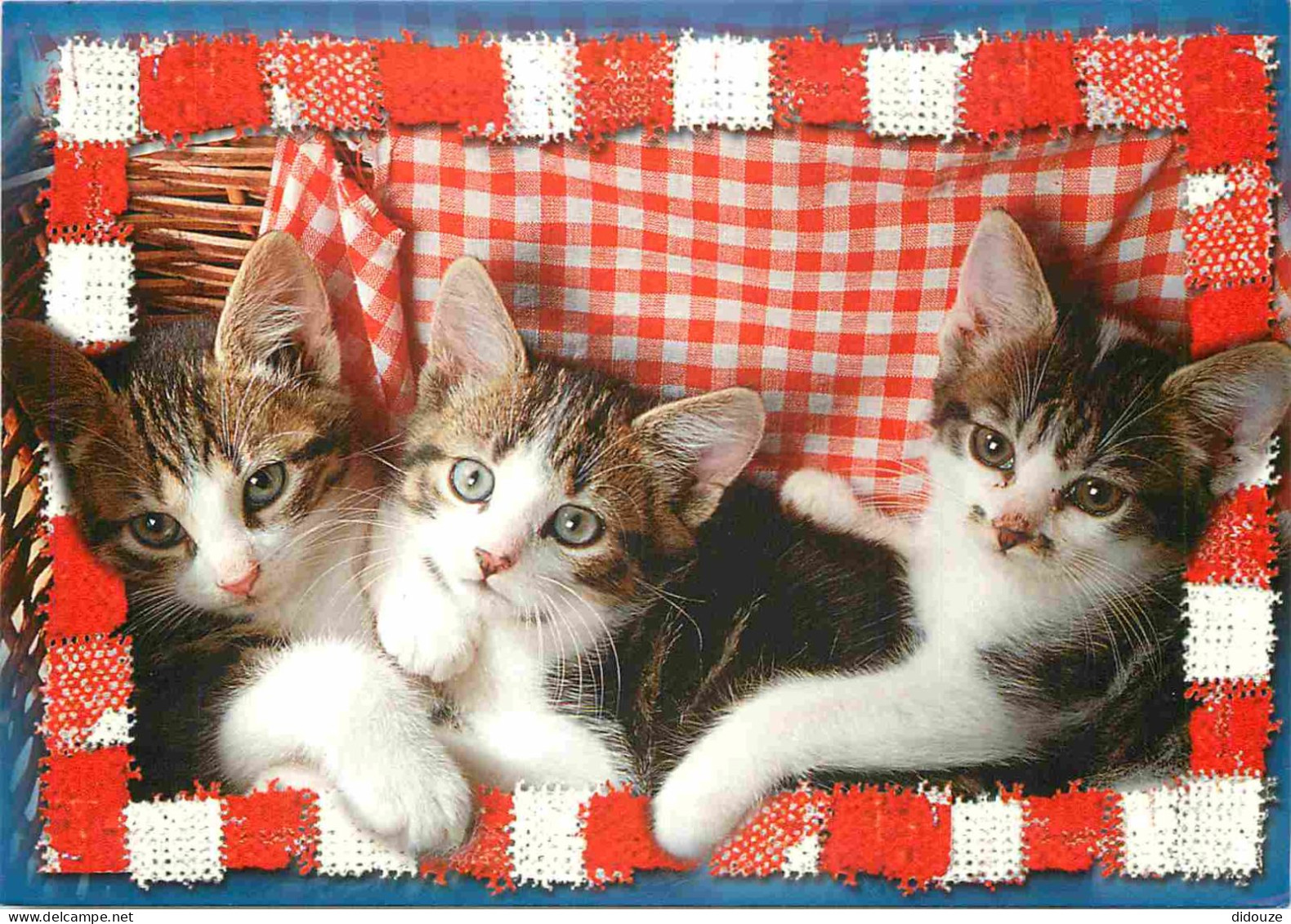 Animaux - Chats - CPM - Voir Scans Recto-Verso - Cats