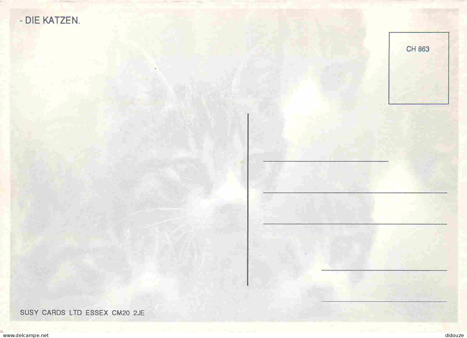 Animaux - Chats - CPM - Voir Scans Recto-Verso - Gatos