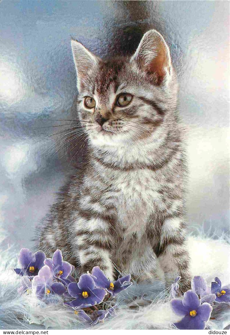 Animaux - Chats - CPM - Voir Scans Recto-Verso - Cats