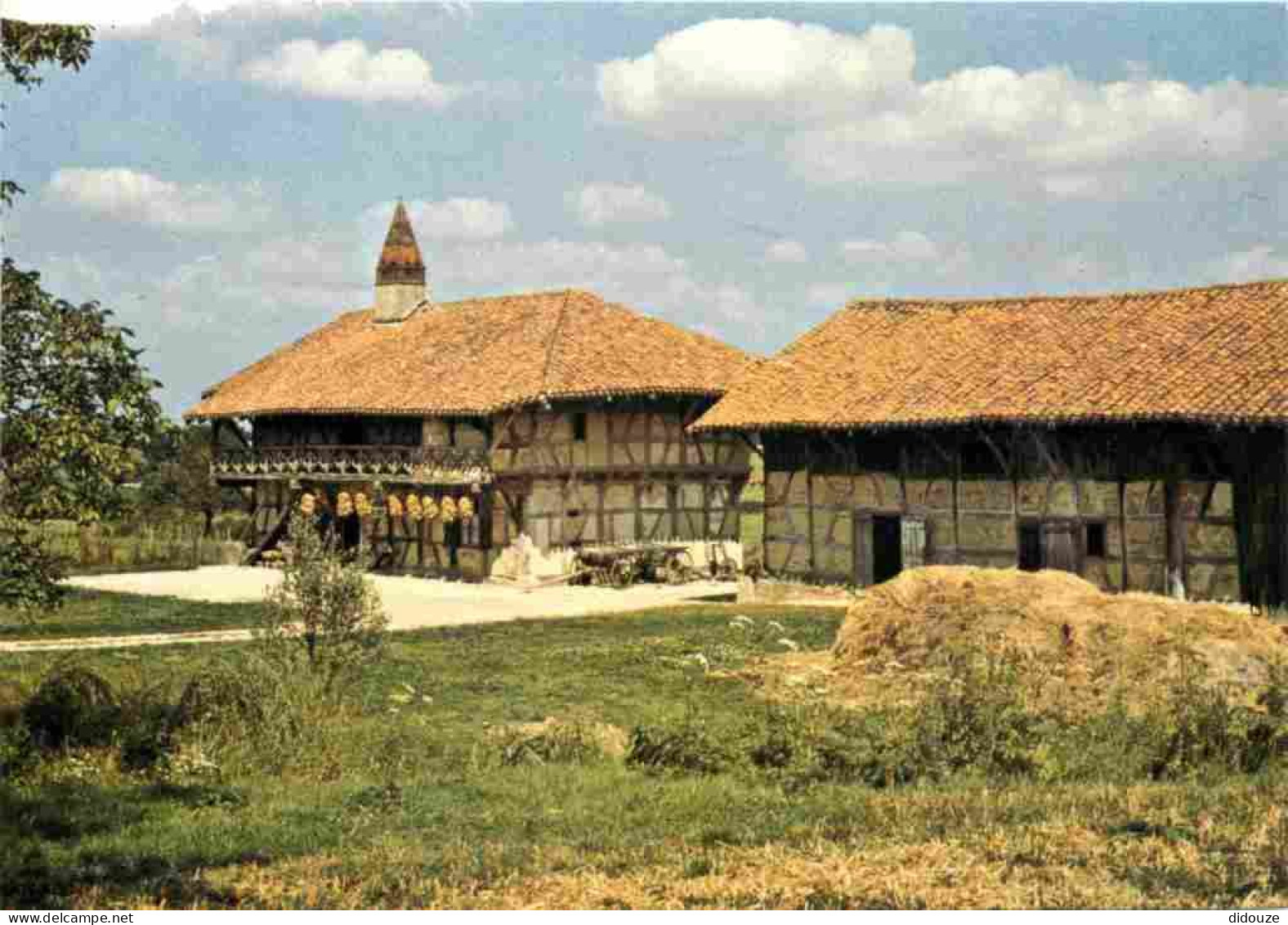 01 - Saint Trivier De Courtes - Ferme Musée De La Forêt - CPM - Voir Scans Recto-Verso - Non Classés