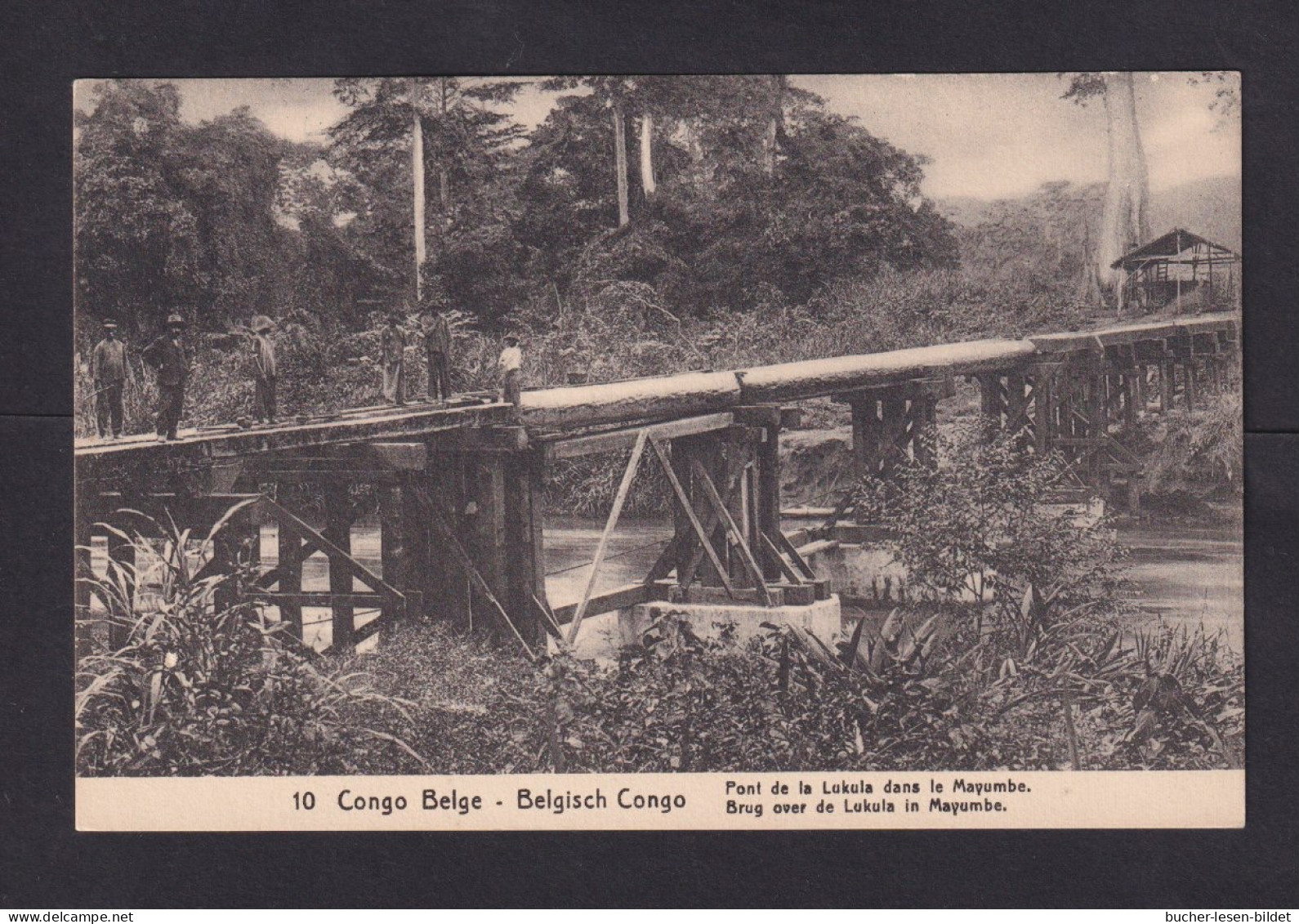 5 C. Bild-Ganzsache "Brücke In Mayumbe" - Ungebraucht - Ponts