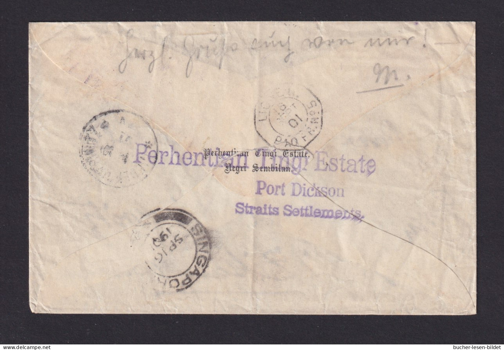 1901 - 8 C. Auf Brief  - Poststellen-Stempel "Perhentian Tingi Estade" Und Ortsstempel - Nach Deutschland - Straits Settlements