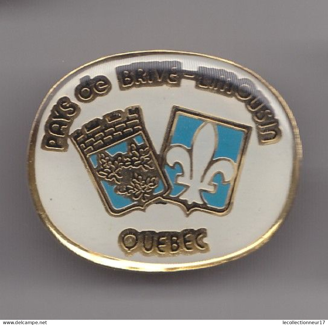 Pin's Blason Ecusson Couronne Pays De Brive Limousin Québec Réf 7850JL - Steden