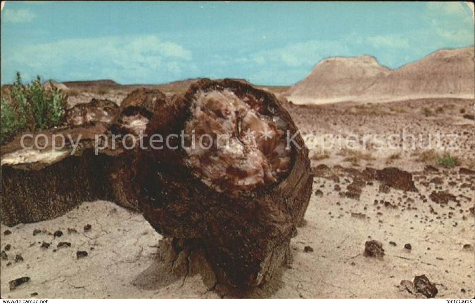 72288052 Arizona_US-State Petrified Forest National Park - Sonstige & Ohne Zuordnung