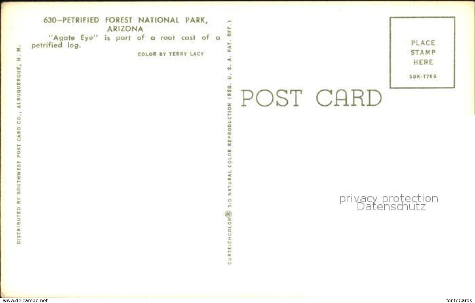 72288052 Arizona_US-State Petrified Forest National Park - Altri & Non Classificati