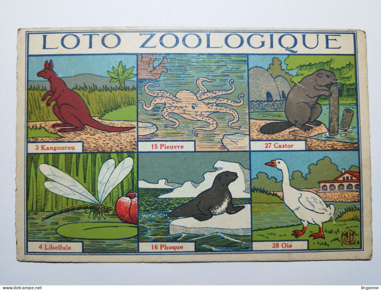 RARE 1 BEAU CARTON DE JEU ANCIEN "LOTO ZOOLOGIQUE" - REVENAZ & TABERNAT Carton Rigide  13 X 20 Cm Env - Autres & Non Classés