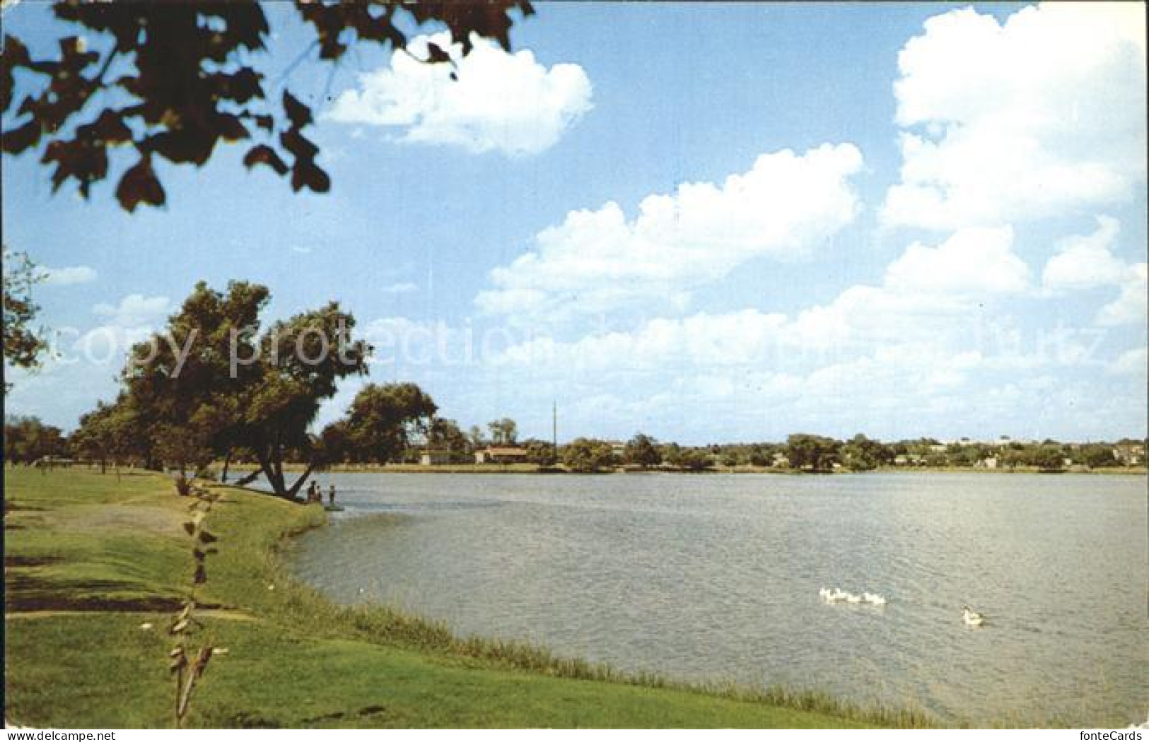 72285076 San_Antonio_Texas Woodlawn Lake - Andere & Zonder Classificatie