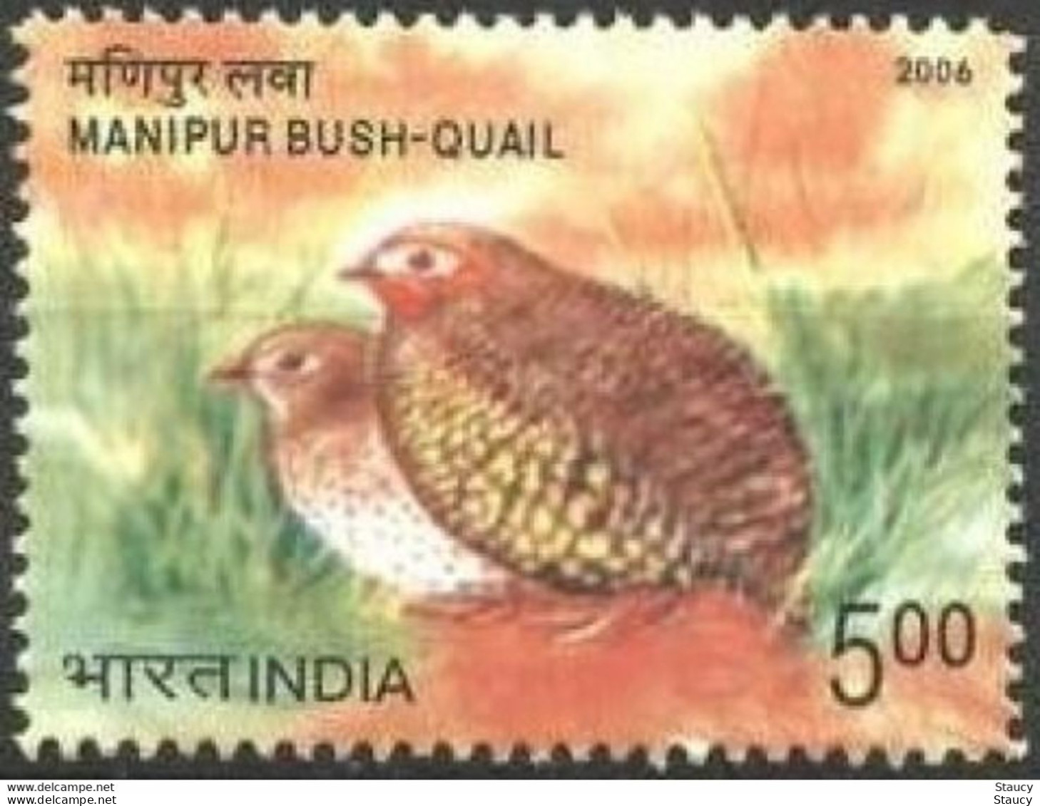 INDIA 2006 ENDANGERED BIRDS 1v Stamp MNH, As Per Scan, P.O Fresh & Fine - Neufs