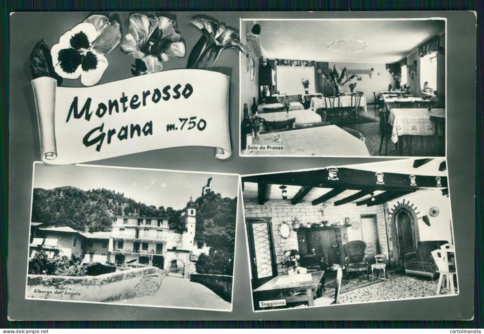 Cuneo Monterosso Grana Albergo Dell'Angelo PIEGHINA Foto FG Cartolina MZ1381 - Cuneo