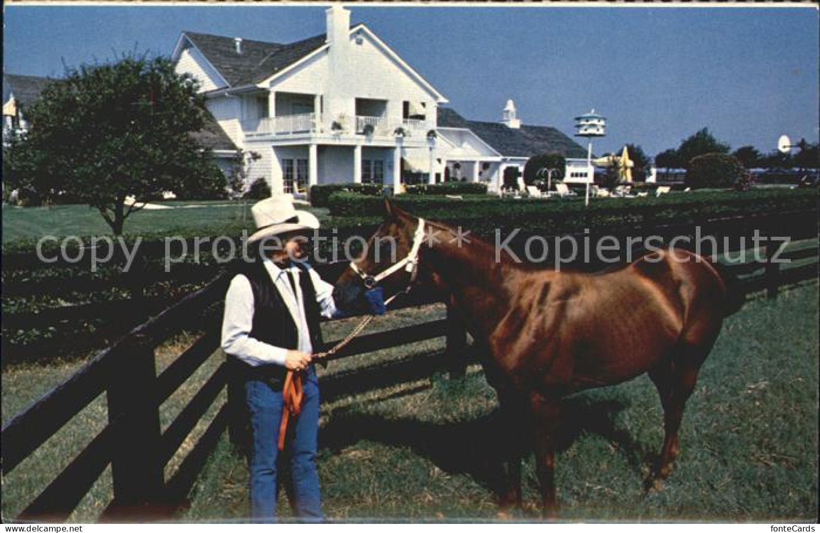 72282164 Dallas_Texas Horse Southfork Ranch  - Andere & Zonder Classificatie