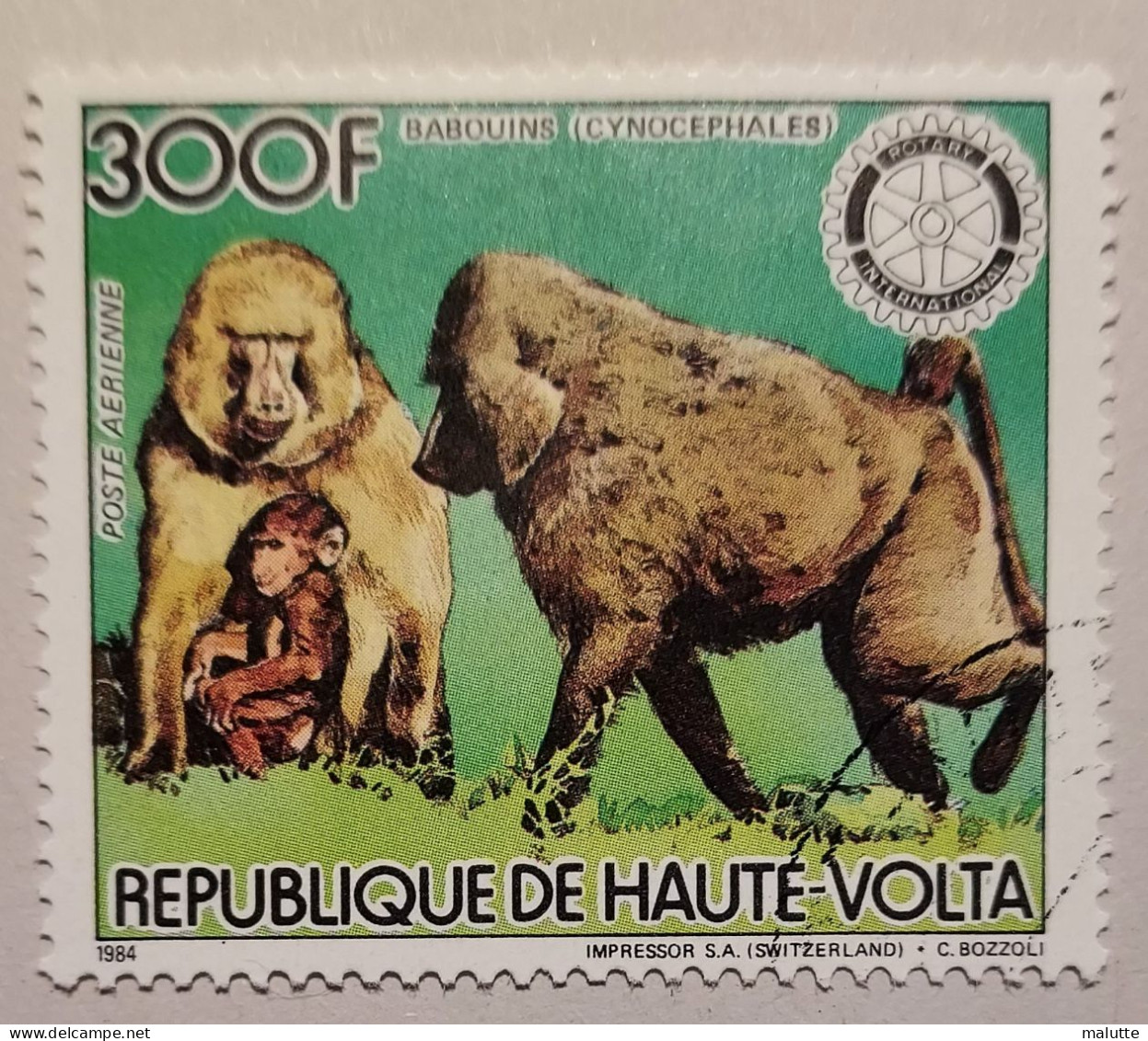 Haute Volta YT 270 PA Oblitéré Animaux Singes - Alto Volta (1958-1984)