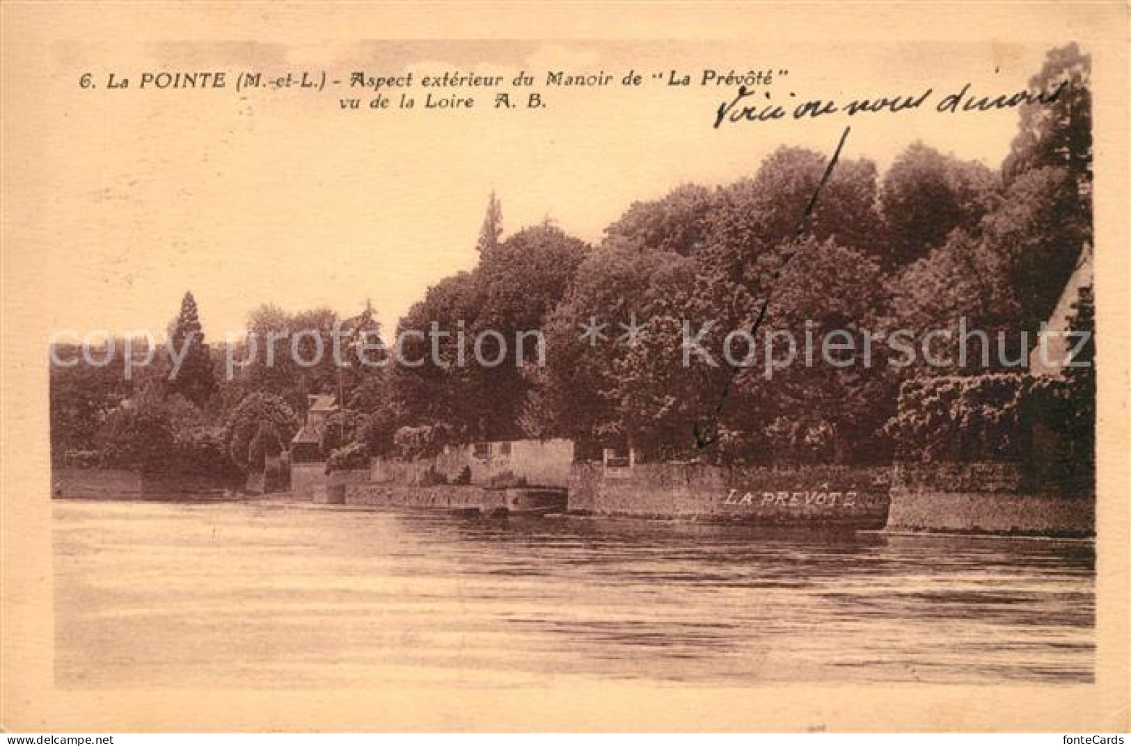 43024115 La_Pointe Vu De La Loire - Autres & Non Classés