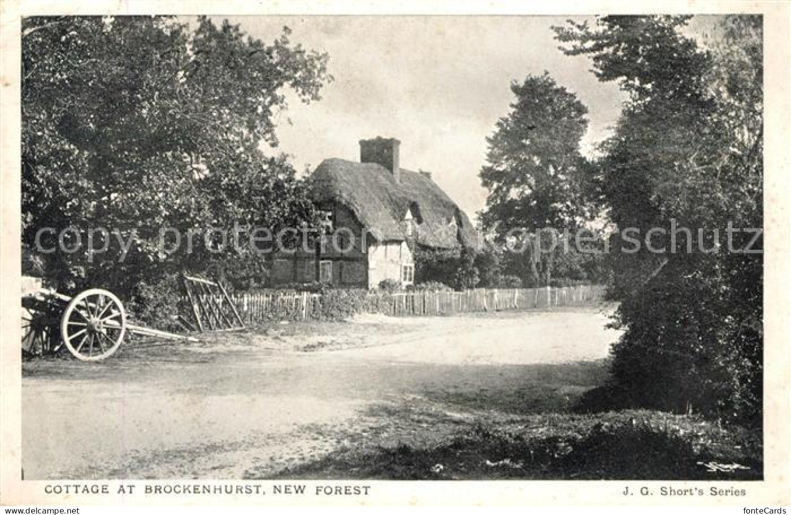 43008006 Brockenhurst Cottage New Forest  - Sonstige & Ohne Zuordnung