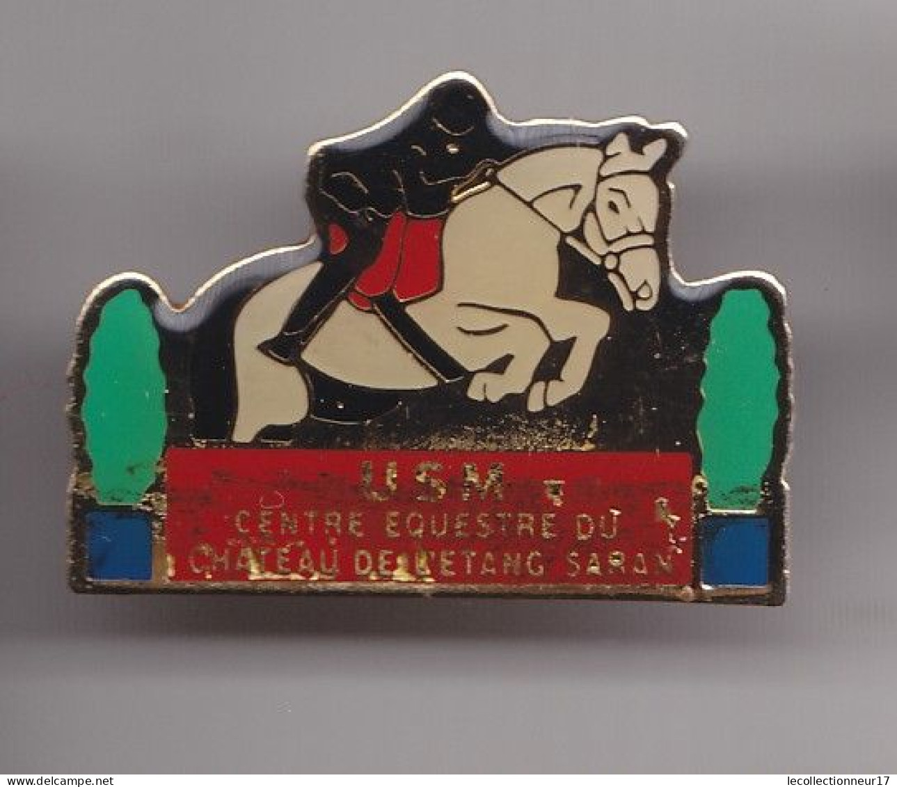 Pin's USM  Centre Equestre Du Château De L' Etang De Saran Dpt 45 Cheval  Réf 7287JL - Cities