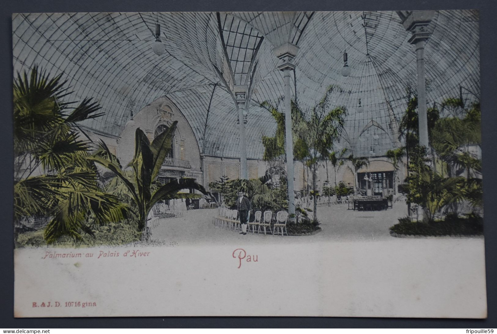 Pau - Palmarium Au Palais D'Hiver - R. & J.D. 10716 Gina - 1900 !! - Pau