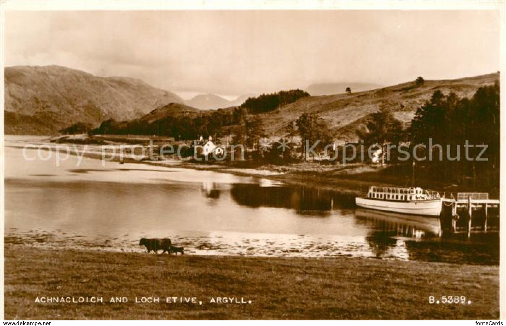 43005583 Argyll Achnacloich And Loch Etive Valentines Card  - Otros & Sin Clasificación