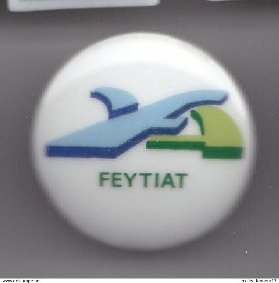 Pin's En Porcelaine JM Limoges Feytiat Réf 7688JL - Steden