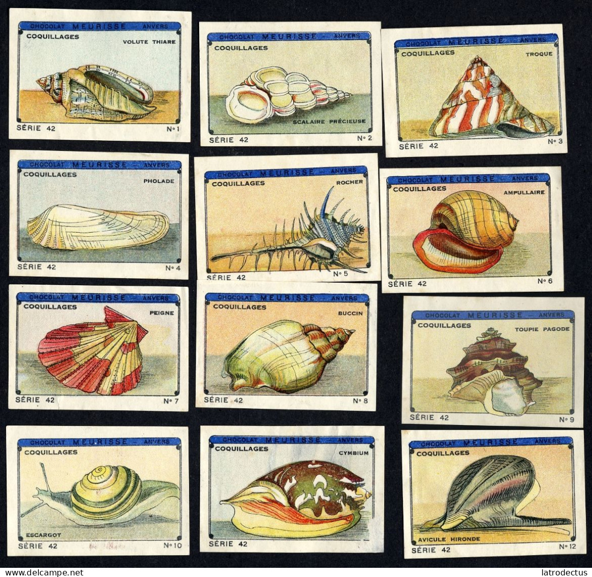 Meurisse - Ca 1930 - 42 - Coquillages, Shellfish - Serie (no 11 Damaged) - Otros & Sin Clasificación