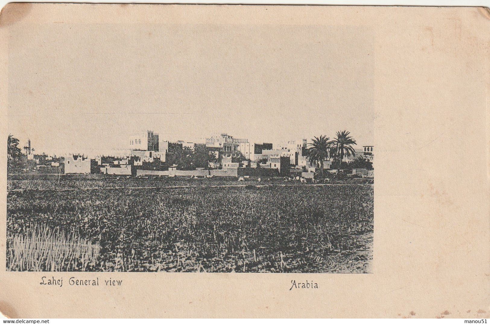 ADEN - LAHEJ  General View - Yemen