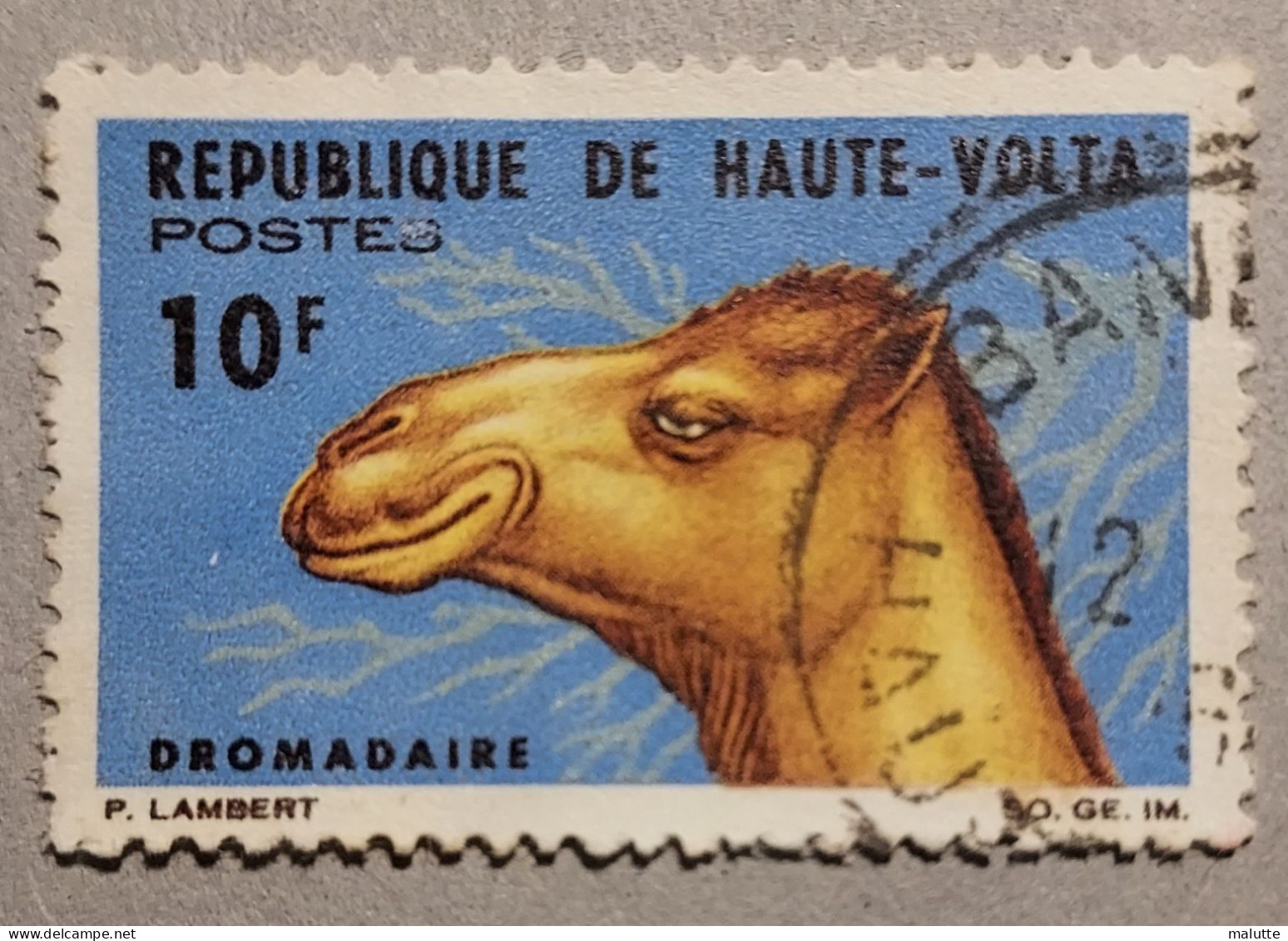 Haute Volta YT 149 Oblitéré Animaux - Haute-Volta (1958-1984)