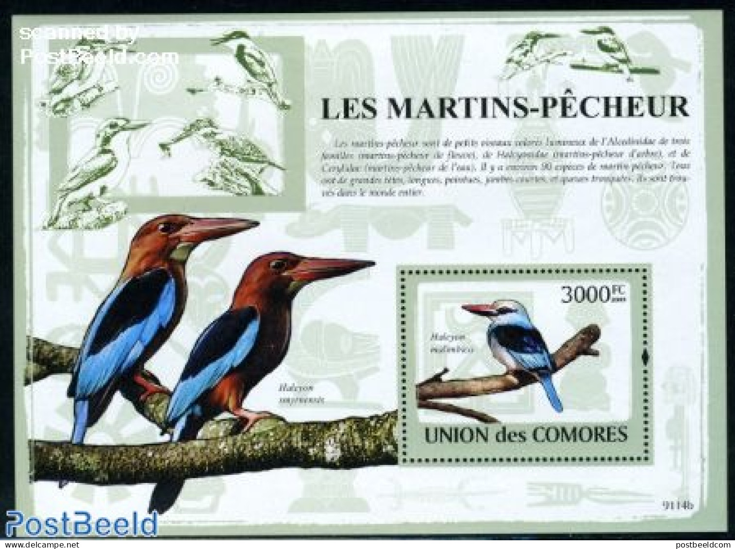 Comoros 2009 Fishing Birds S/s, Mint NH, Nature - Birds - Comores (1975-...)